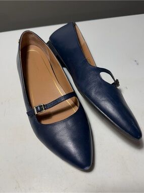 Vionic Women’s 11 Navy Pointed Mary Jane Flats with Buckle Strap